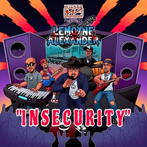 Insecurity cover-1.jpg